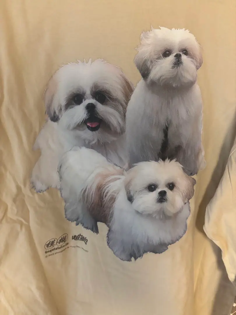 2026年最新】モコゾウ tシャツの人気アイテム - メルカリ