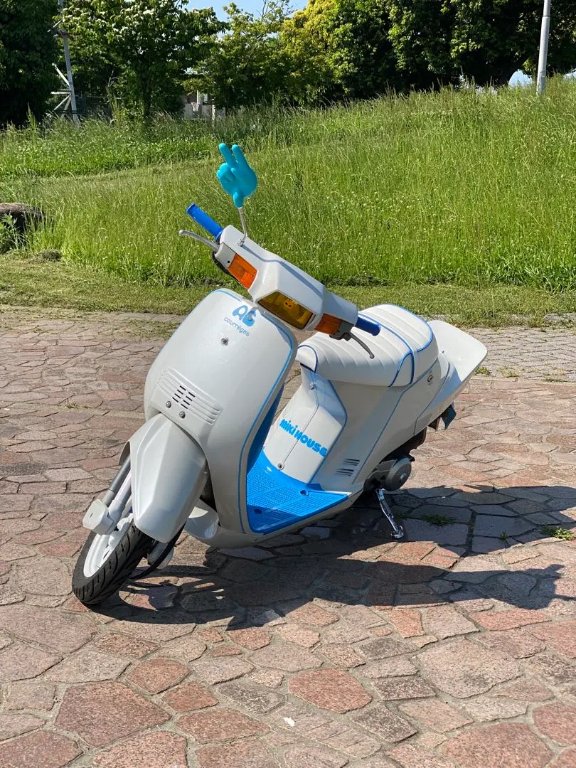 m81747217764_1.jpg?1757064806