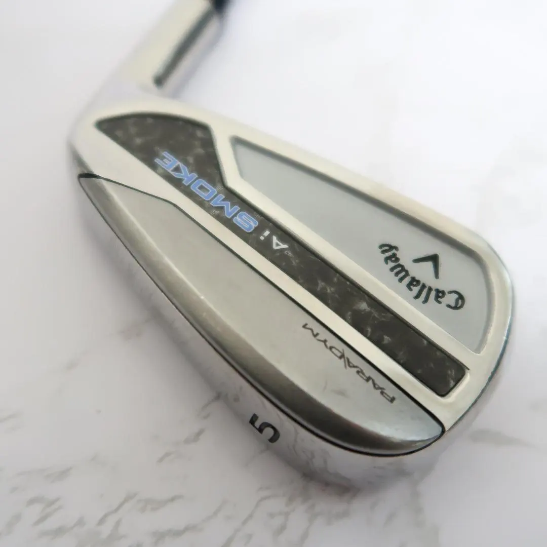 2026年最新】パラダイム アイアン 5 単品の人気アイテム - メルカリ