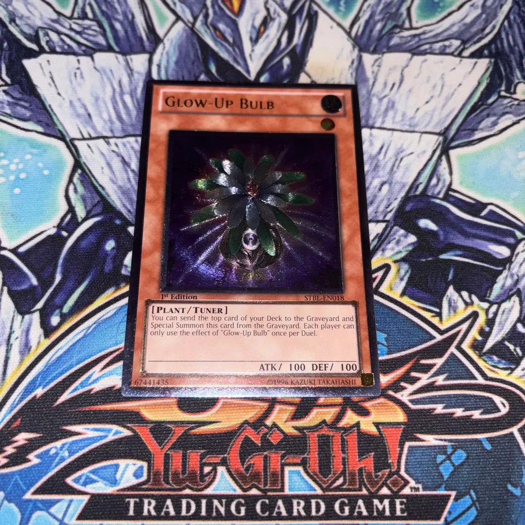 2026年最新】グローアップバルブ 英語の人気アイテム - メルカリ