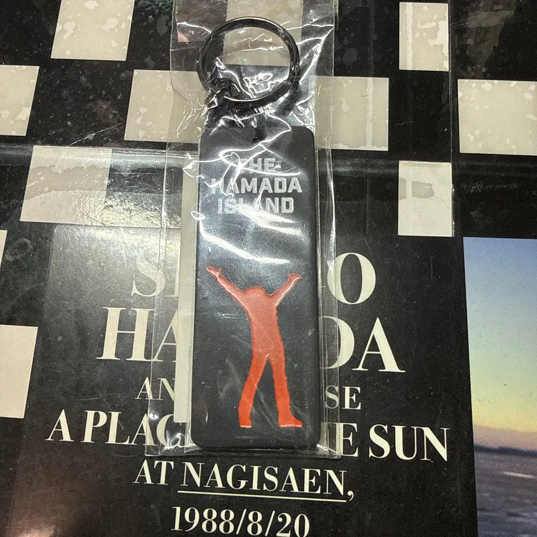 2026年最新】国内アーティスト：浜田省吾 キーホルダーの人気アイテム