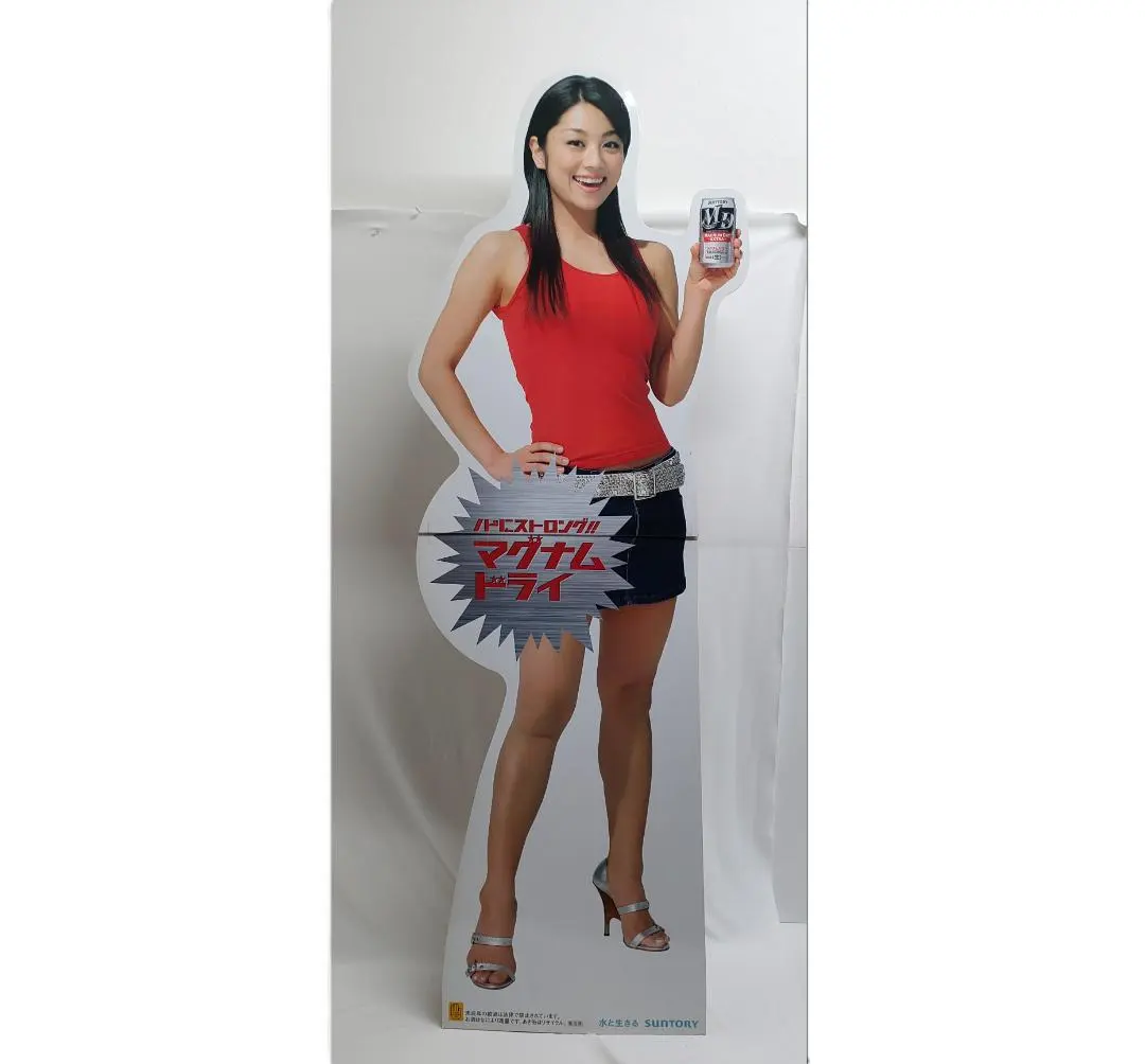 2026年最新】小池栄子 等身大の人気アイテム - メルカリ