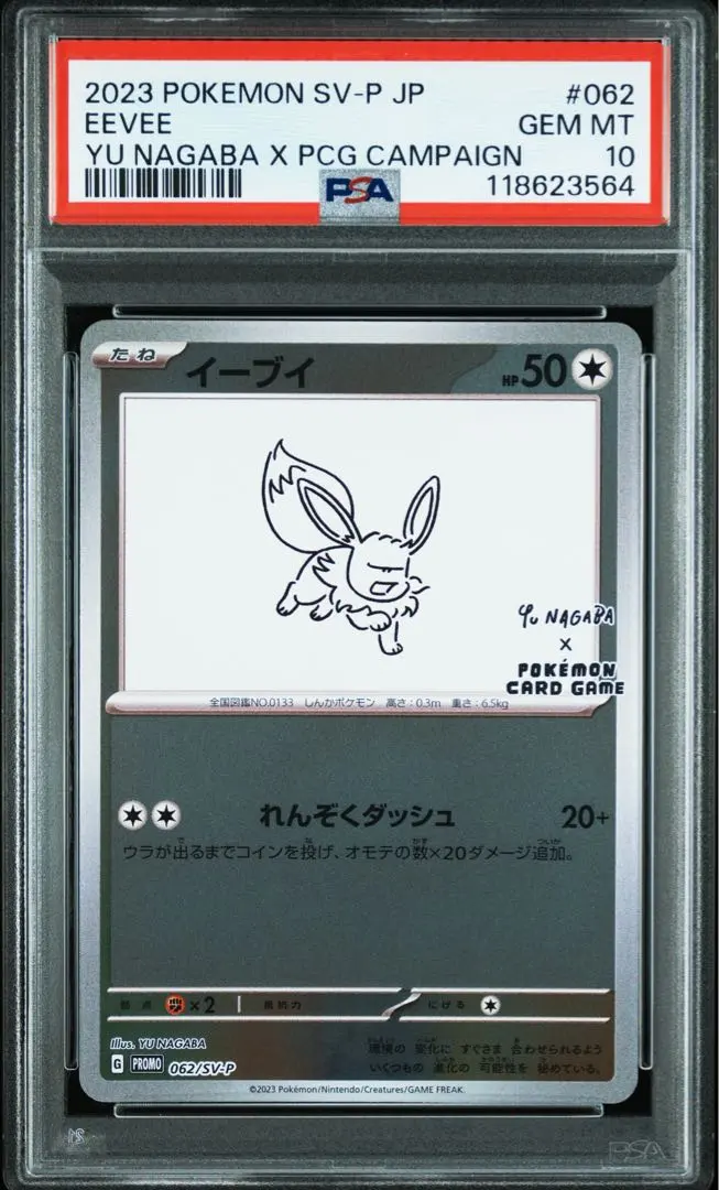 m86160448615_1.jpg?1772280784