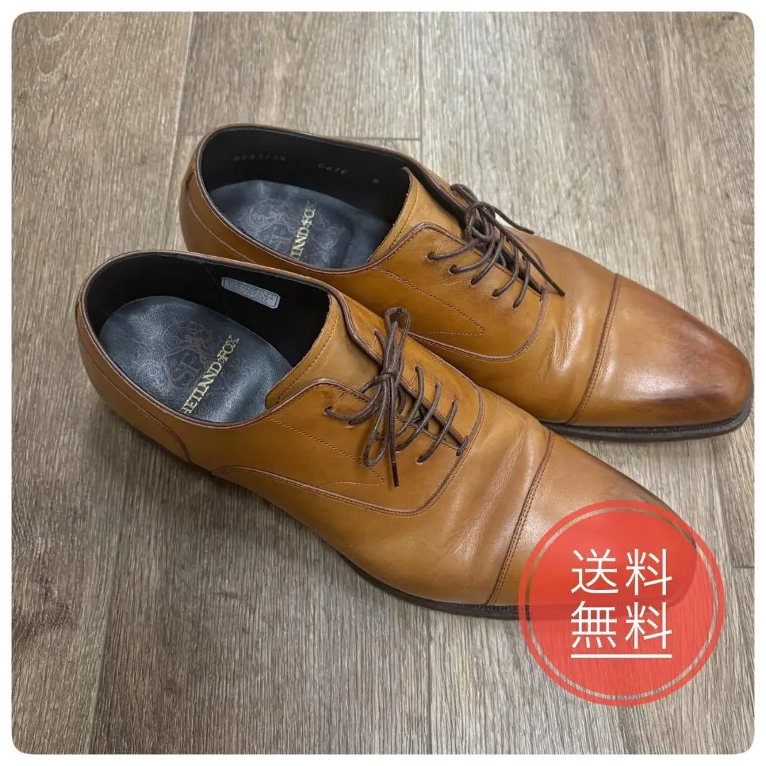 2026年最新】シェットランドフォックス 8の人気アイテム - メルカリ