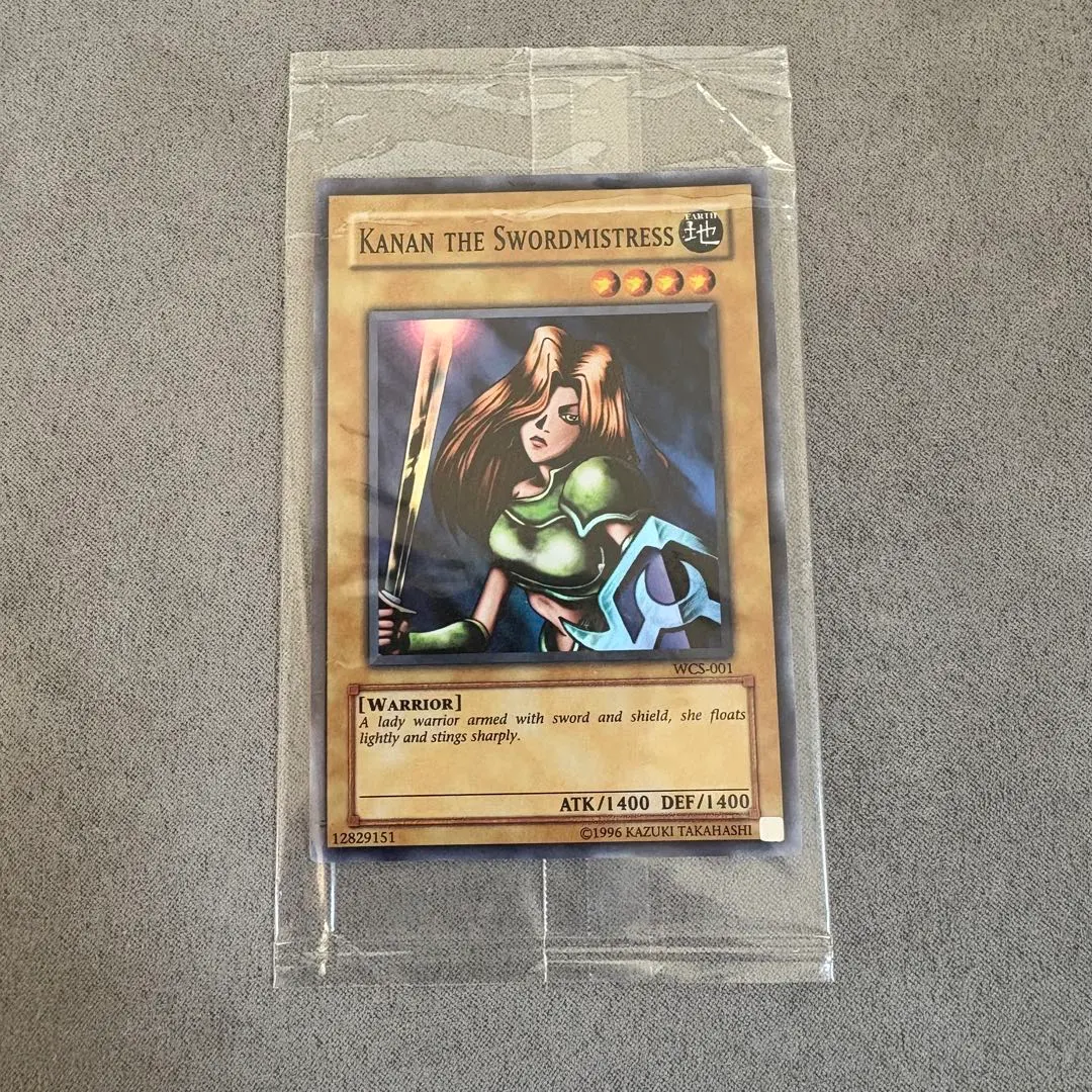 2026年最新】女剣士カナン wcsの人気アイテム - メルカリ