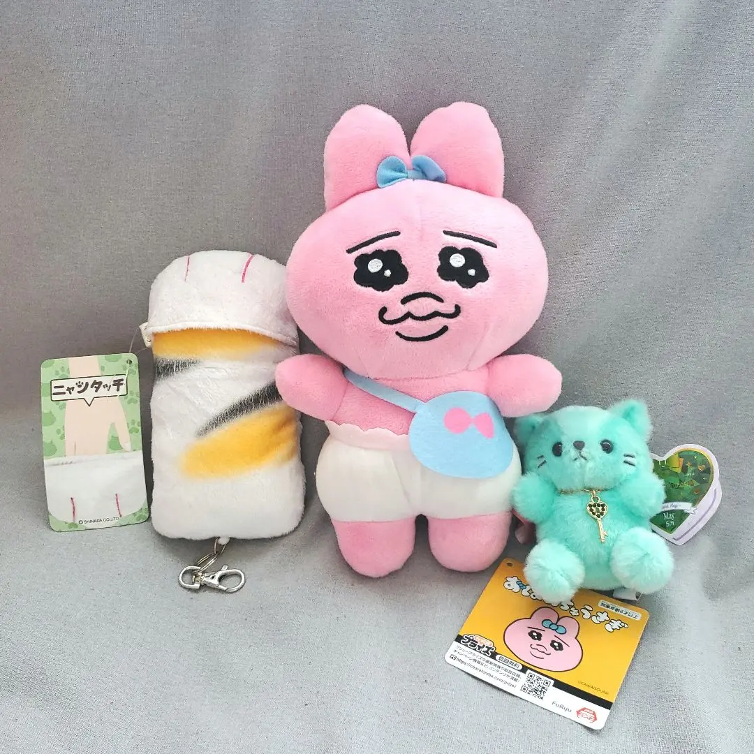 2026年最新】ハッピーバースカラー パステルキャットの人気アイテム