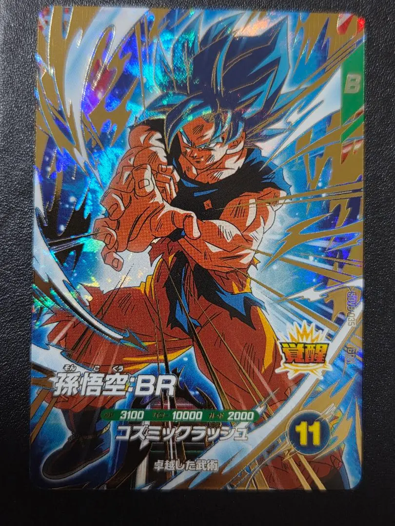 m97726691183_1.jpg?1771935080