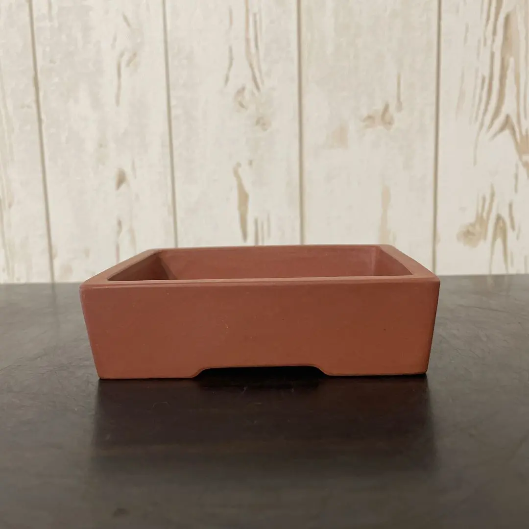 2026年最新】中国 植木鉢 朱泥の人気アイテム - メルカリ