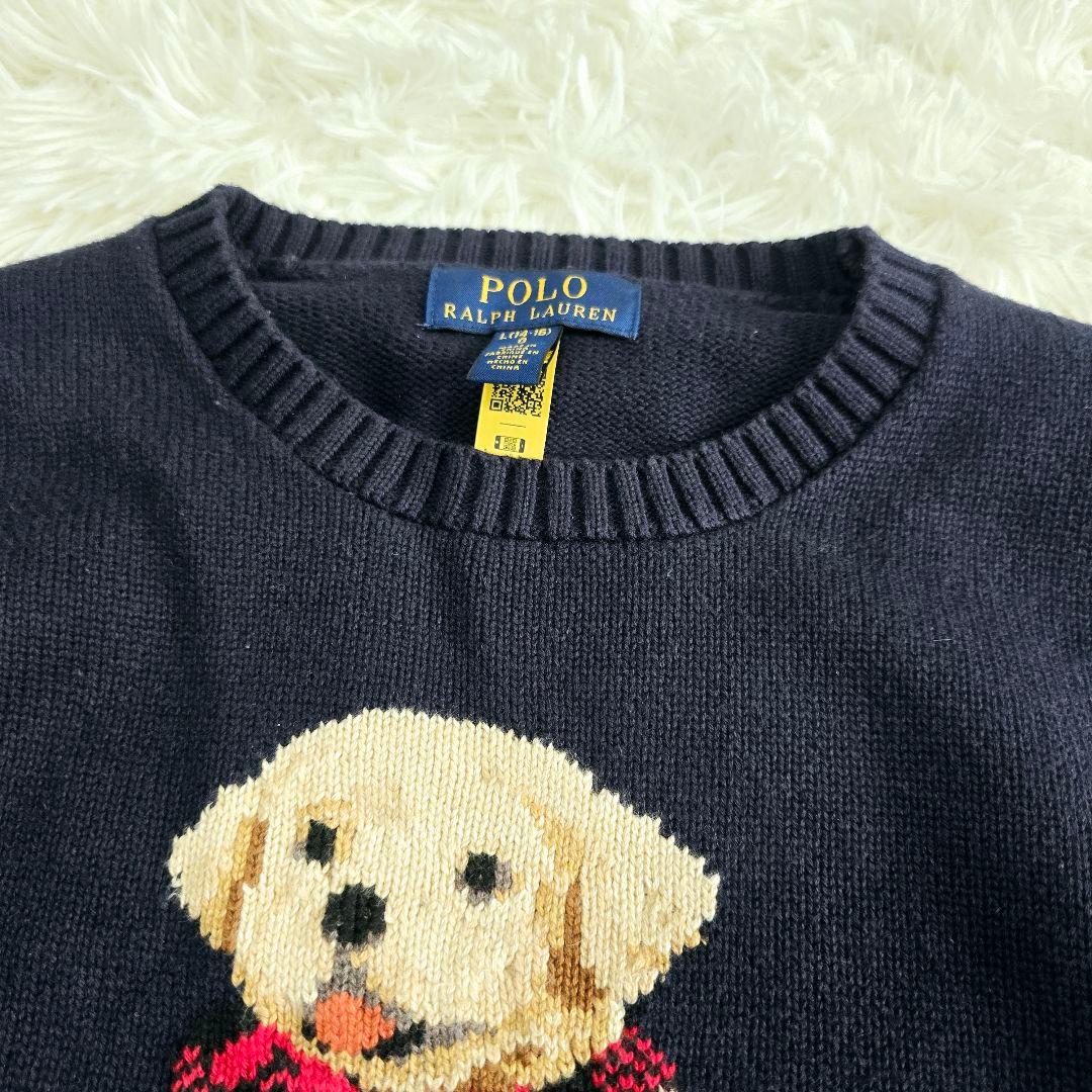 美品 ポロラルフローレン 犬 ゴールデンレトリバー ニット ネイビー