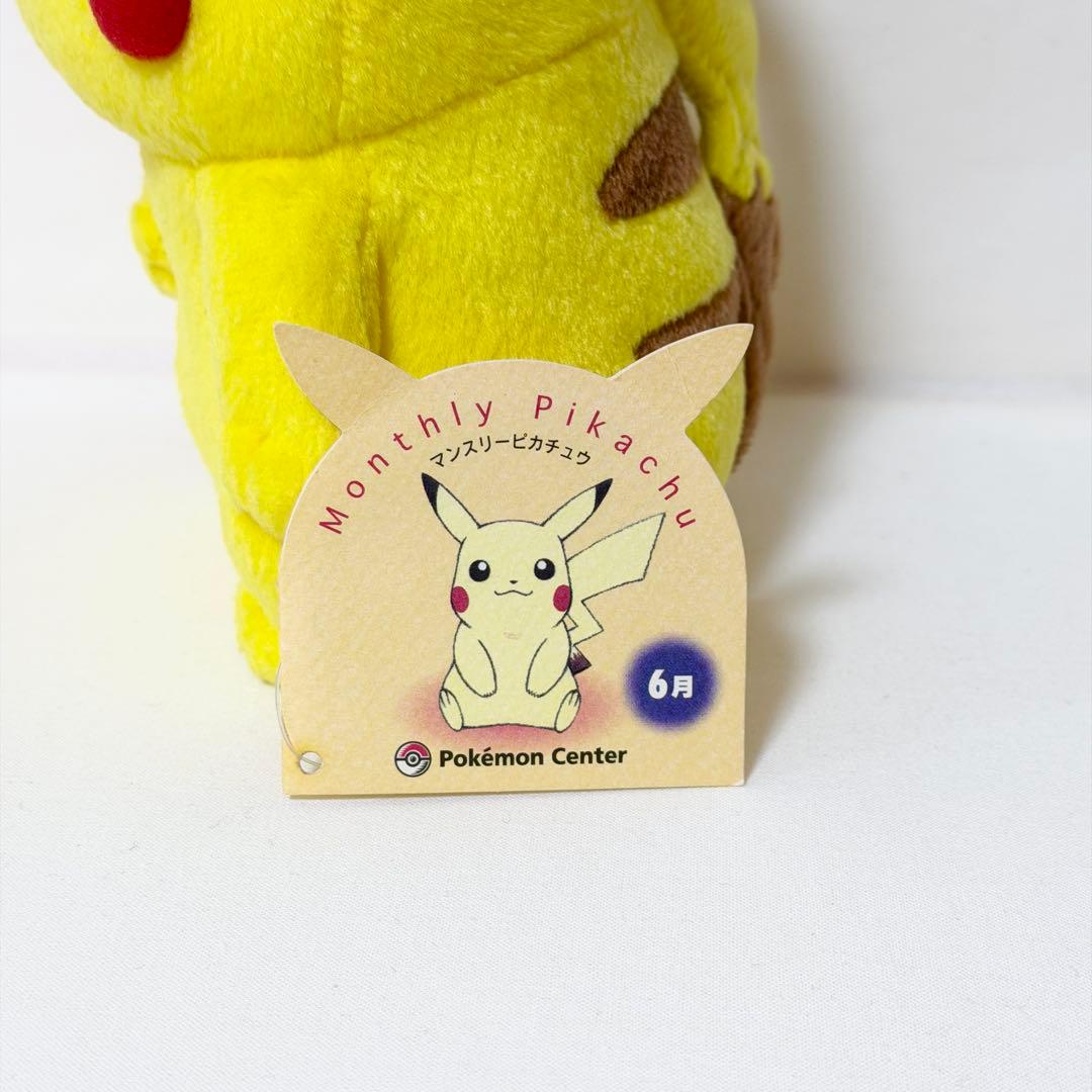 マンスリーピカチュウ 2005年6月ポケモンセンター限定 ポワルン