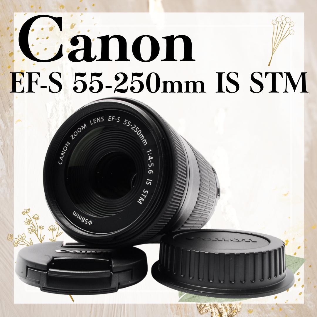 美品 手ぶれ補正 キャノン EF-S 55-250mm IS STM 望遠レンズ EFレンズ キヤノン 望遠レンズ CANON EF-S 55-250mm F3.5-5.6 IS II