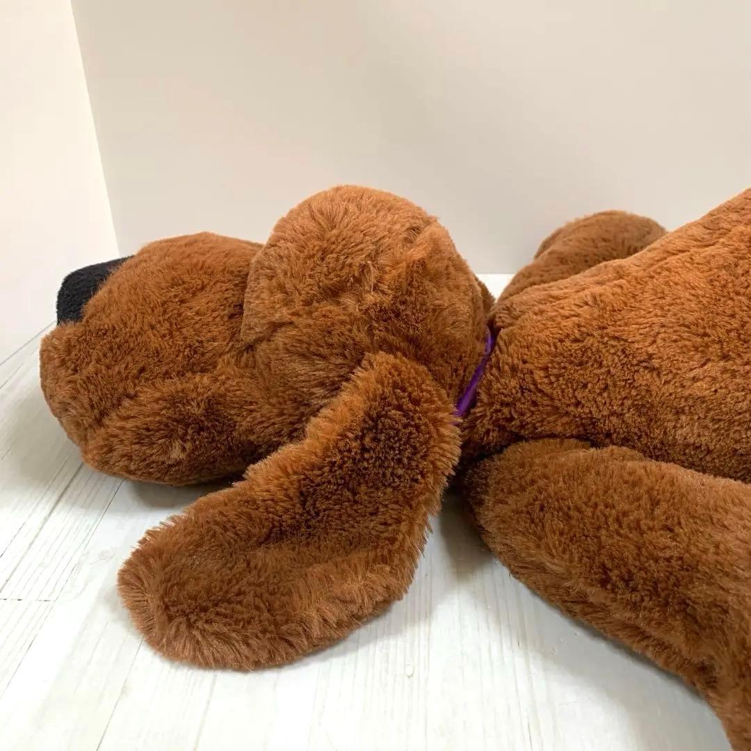 V☆ 子犬のルーク 大きいサイズ 55センチ - メルカリ