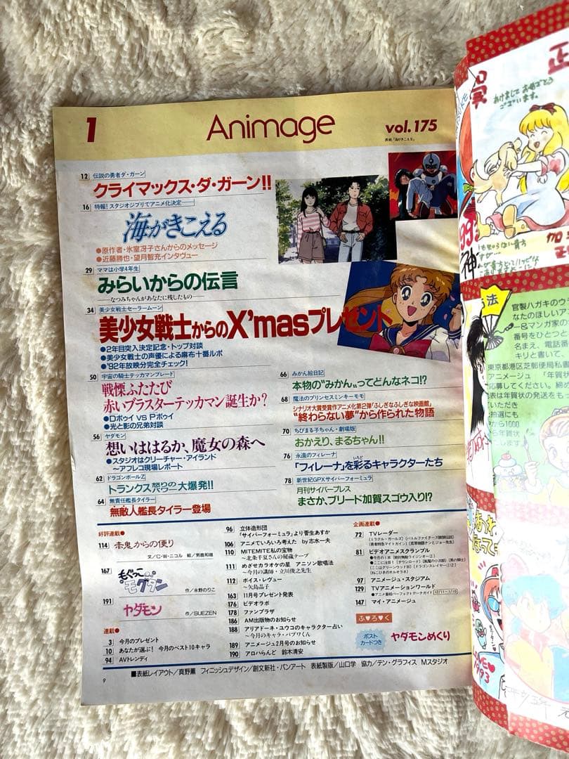 アニメージュ 1993年1月 VOL.175 海がきこえる ジブリ セラームーン