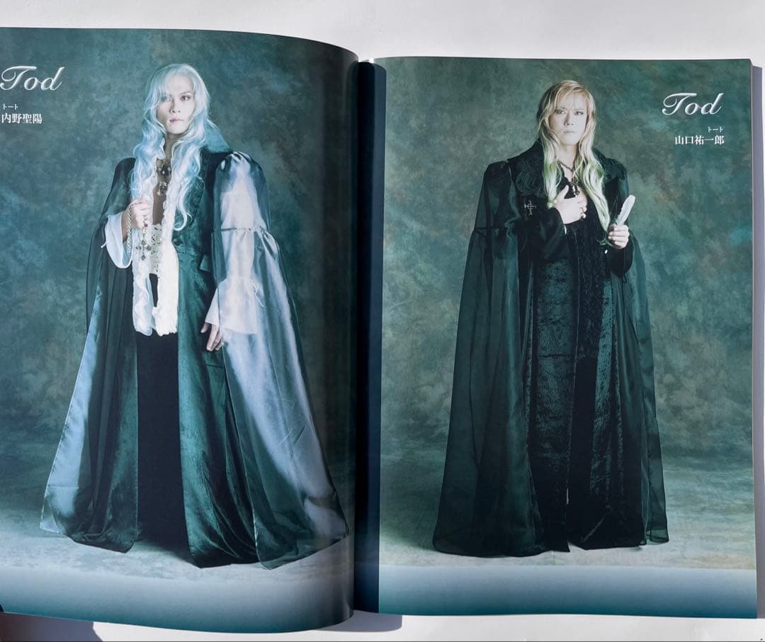 東宝ミュージカル エリザベート 改訂版 ピアノ弾き語り 楽譜 一路真輝