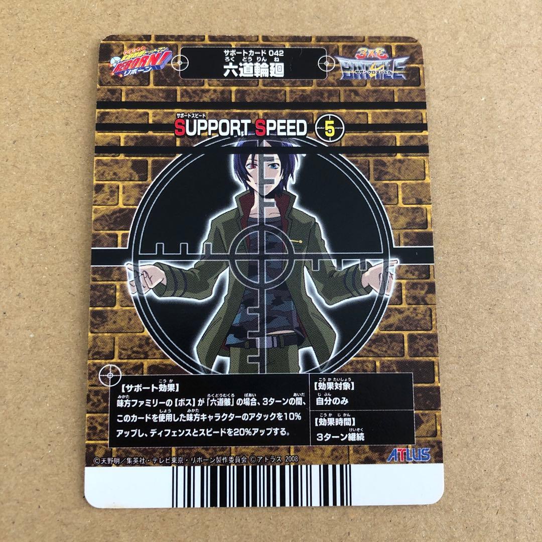 家庭教師ヒットマンREBORN！ サザンクロスバトル 六道骸 六道輪廻 訳