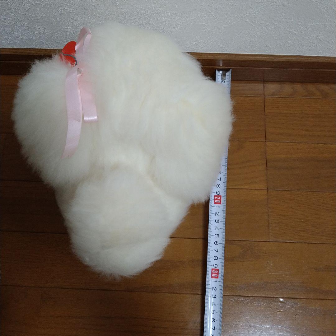 おはなです。