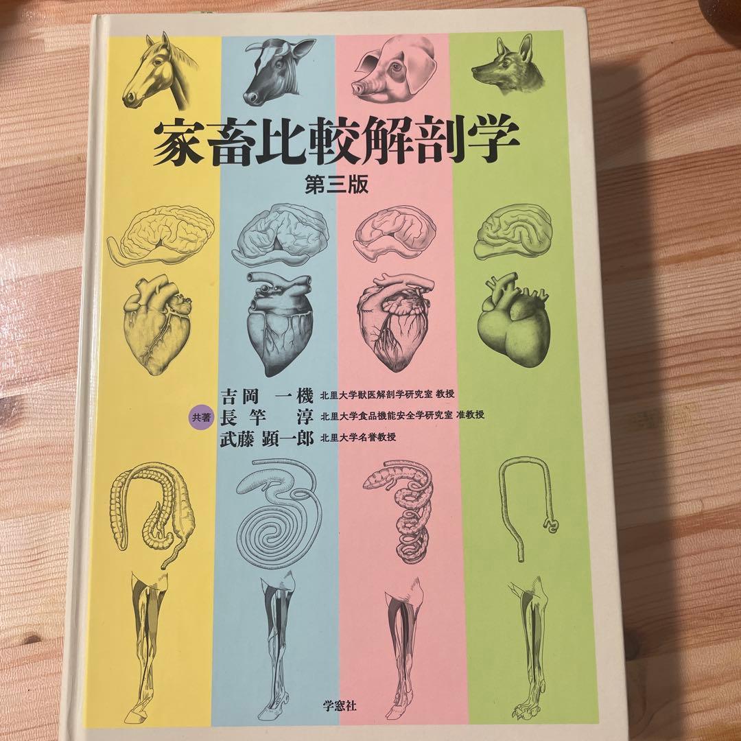 家畜比較解剖学 第三版