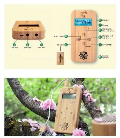 植物の音楽ポータブルデバイス「バンブー」Music of Plants - メルカリ