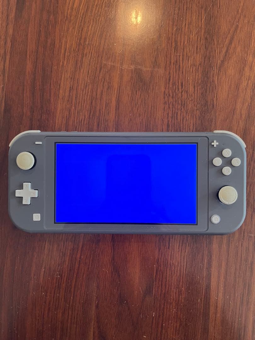 【ジャンク品】Nintendo Switch Lite 本体(透明カバー付き) Nintendo Switch Lite アクアブルー ジャンク品 ケース付き ジャンク品