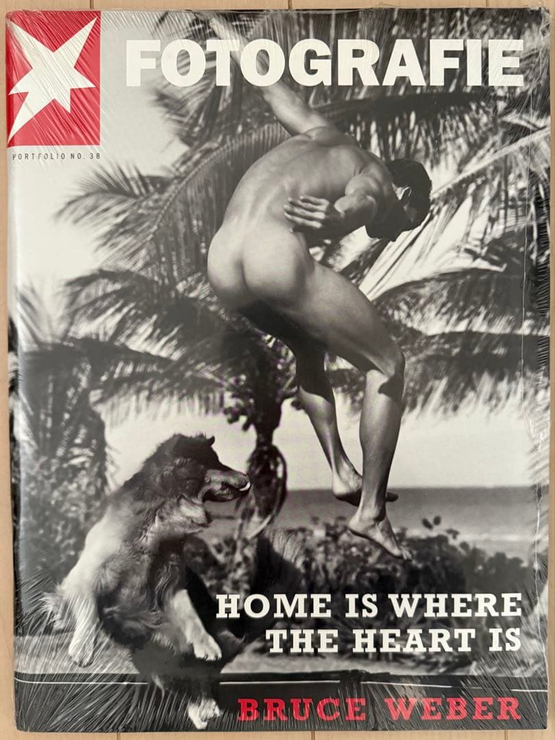 アート・デザイン・音楽 FOTOGRAPHIE / BRUCE WEBER Bruce Weber: All-American XXV, Let in the Light 188ページ、56