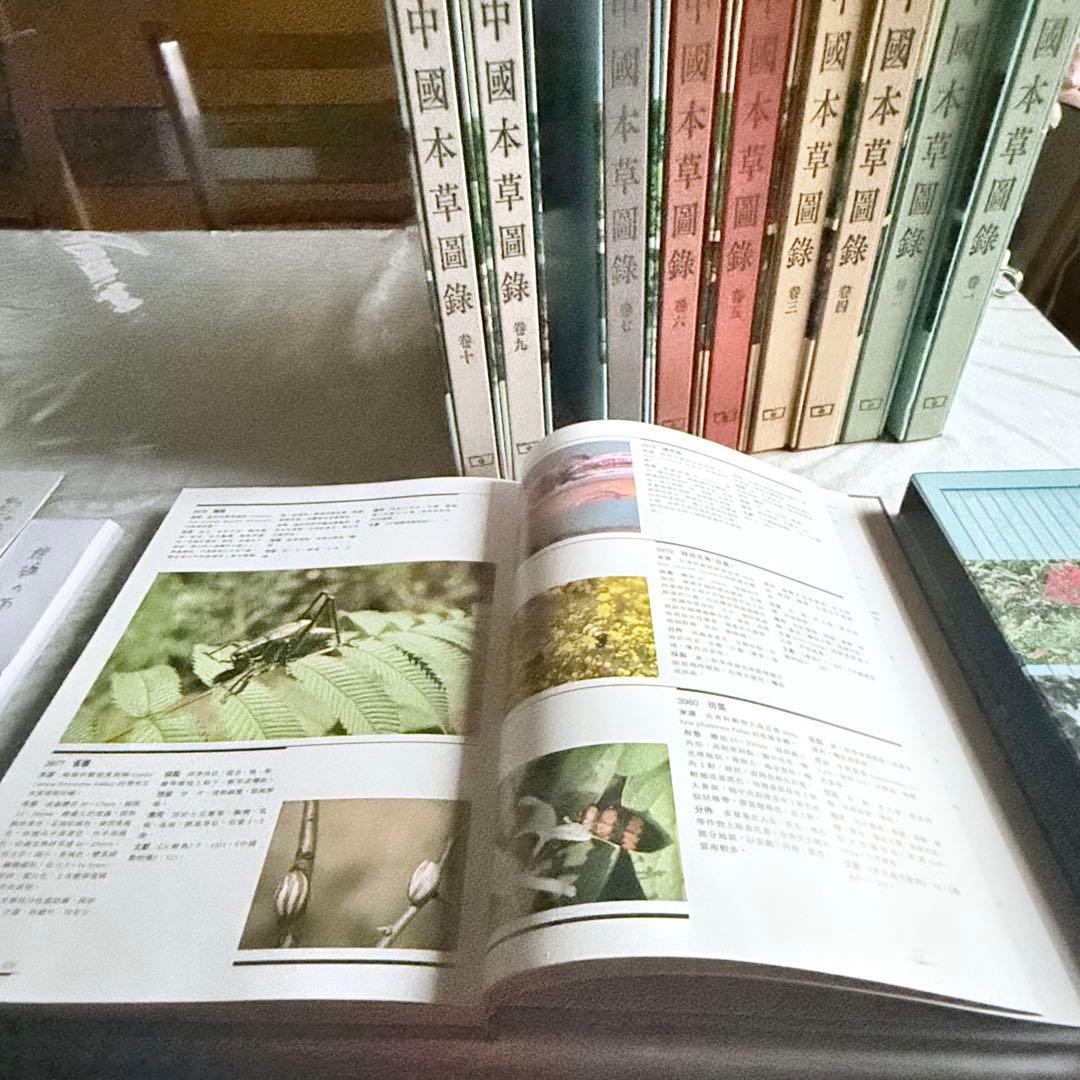 超限定1月13日20時迄‼️漢薬フルカラー『中國本草圖錄』10巻揃￼中国語