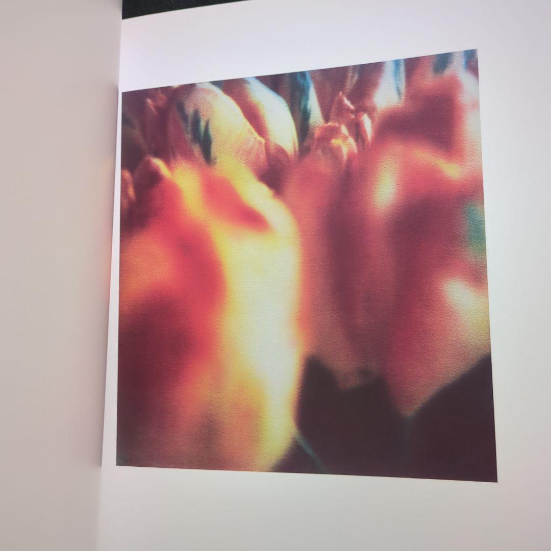 Cy Twombly サイ・トゥオンブリー Photographs 洋書 写真集 - メルカリ