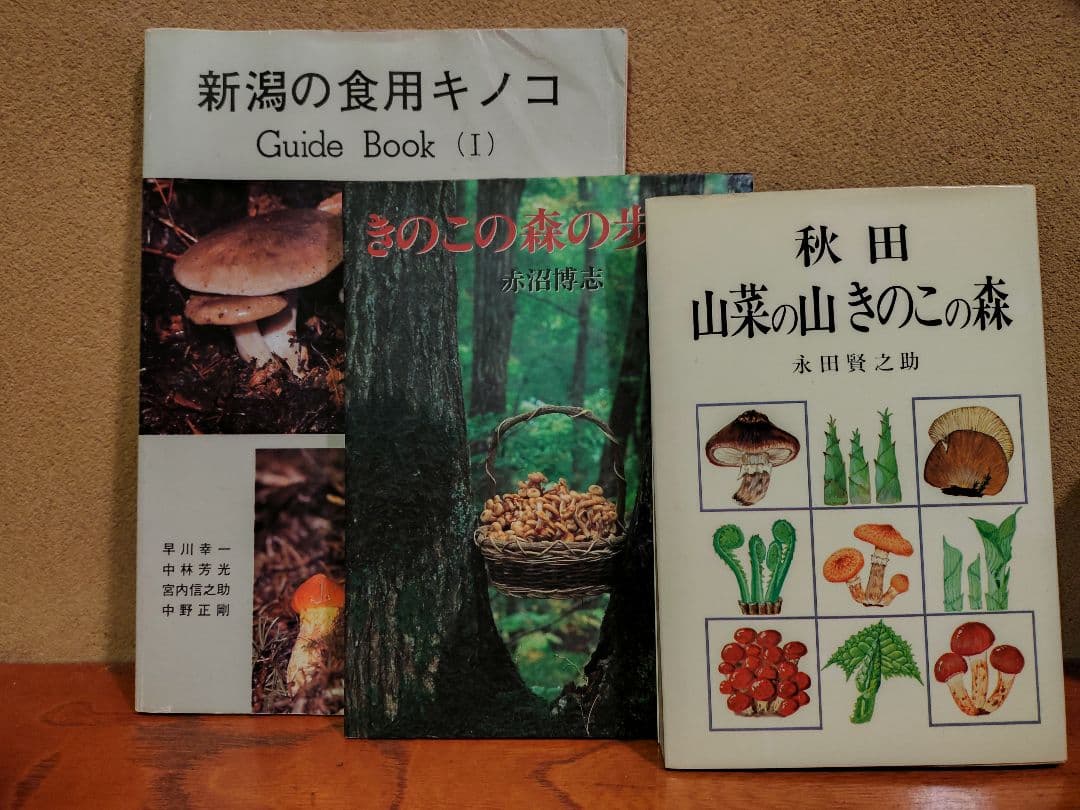 ふぐ毒さん専用 新潟の食用キノコ、きのこの森の歩き方、秋田山菜の山 きのこの森 ふぐ毒さん専用 新潟の食用キノコ、きのこの森の歩き方、秋田山菜の山