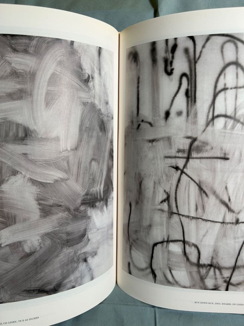 クリストファー・ウール 画集 洋書 大型本