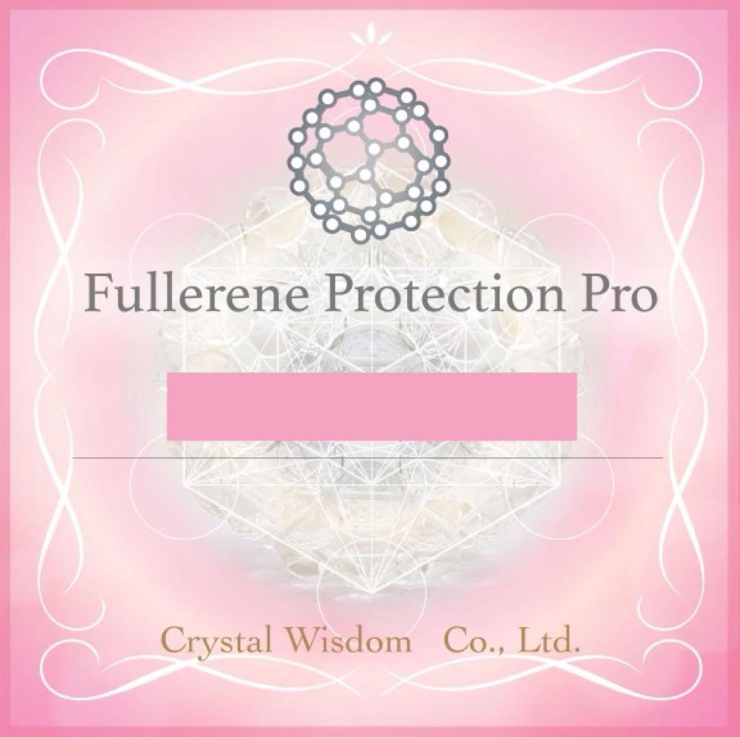 新作❣️Wフラーレン❣️特大フラーレンIN天然フラーレン☆シュンガイト☆