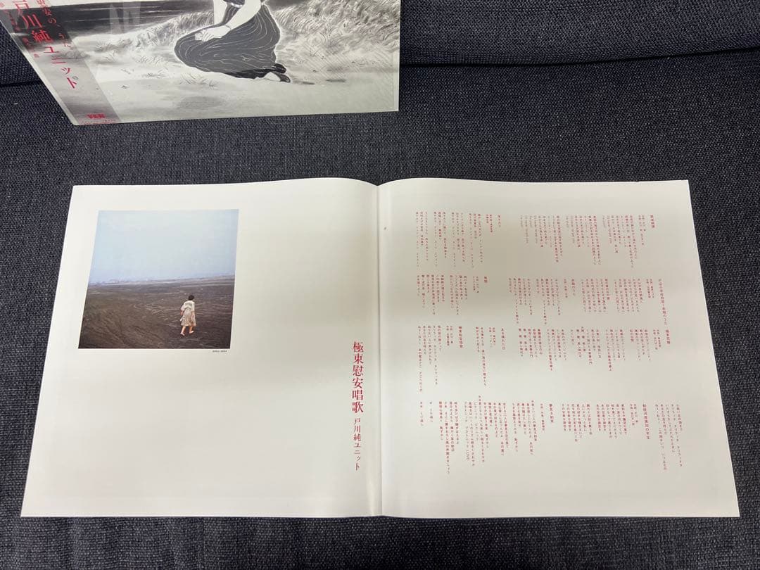 Jun Togawa Kyokutou Ian Shouka LP邦楽レコード - メルカリ