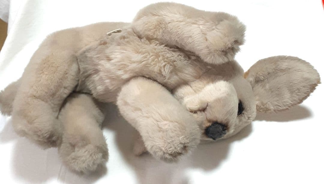 美品】ジョックライン JOCKLINE社 当時物 イタリア製 犬 ゴールデン