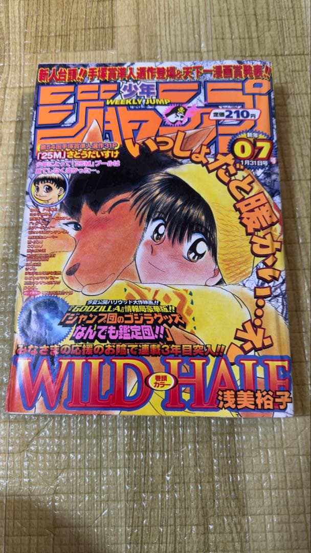 週刊少年ジャンプ 1998年07号 - メルカリ