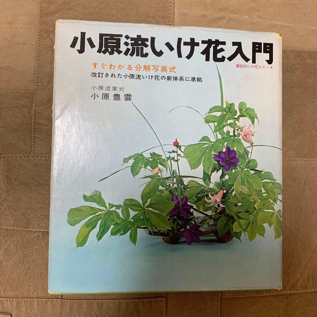 【希少！】小原流いけ花入門―すぐわかる分解写真式 希少！】小原流いけ花入門―すぐわかる分解写真式 - メルカリ
