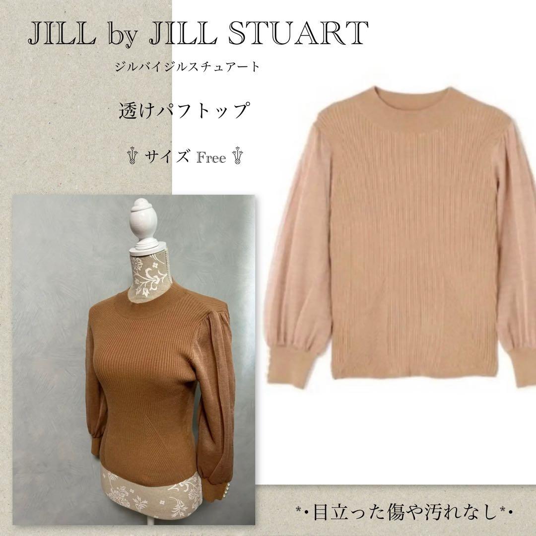 柿乃葉 kakinoha 別注Smooth Turtle Knit タートル 8