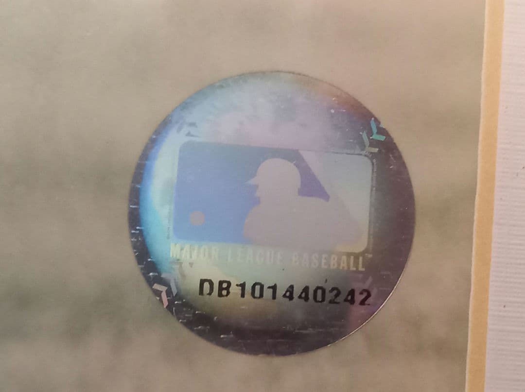 MLB、直筆サイン、石井一久、ルーキーイヤー記念パネル、限定商品