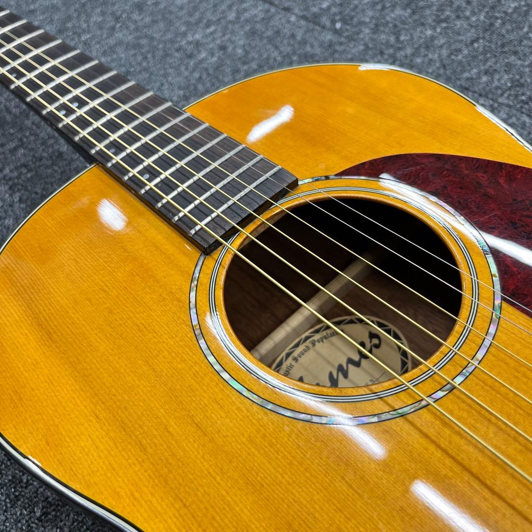 エレアコ化オプション11068James JS-1VN アコースティックギター