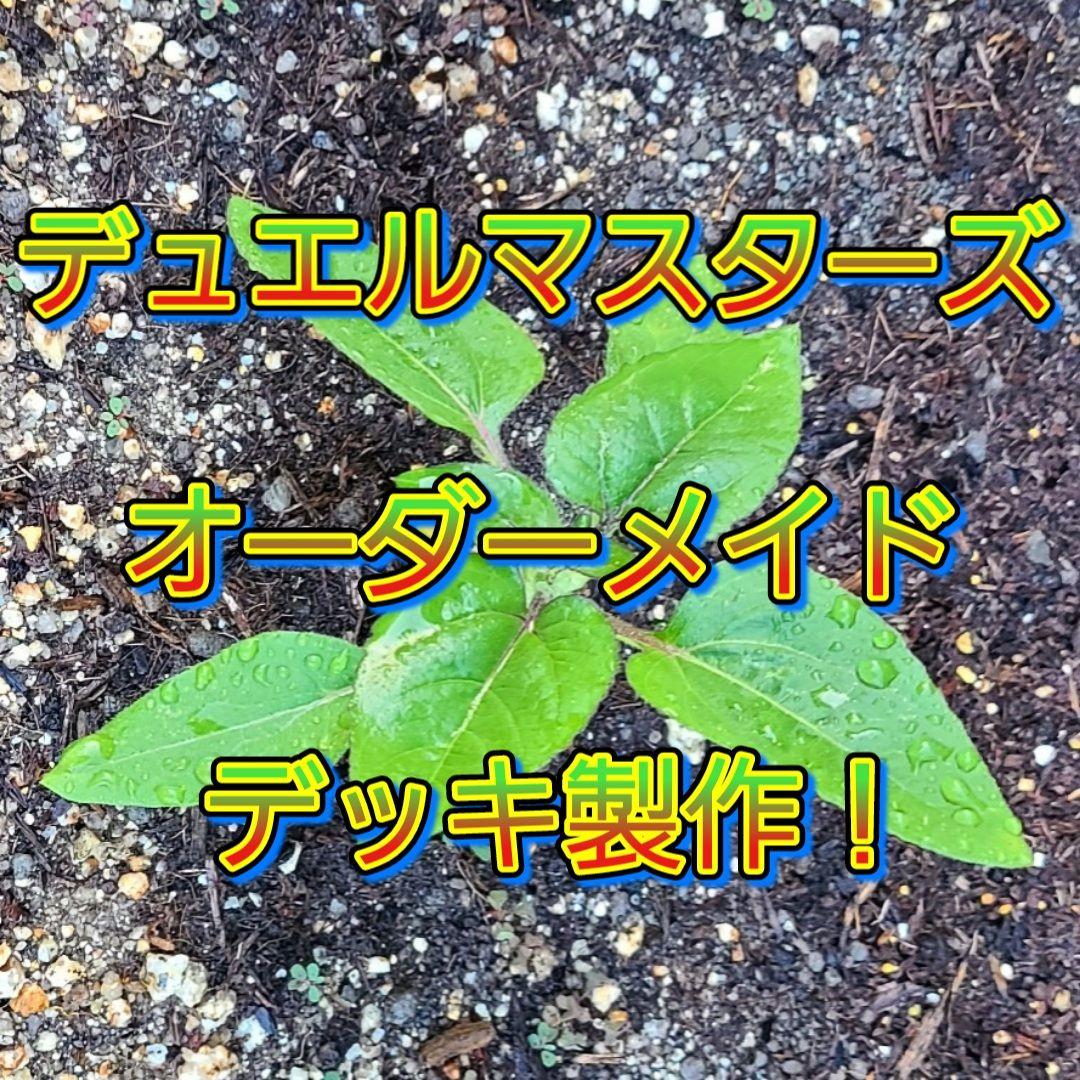 デュエルマスターズ　オーダーメイド　デッキ製作！ This is a good way to modify a 500 yen deck. Mono-Red [Duel