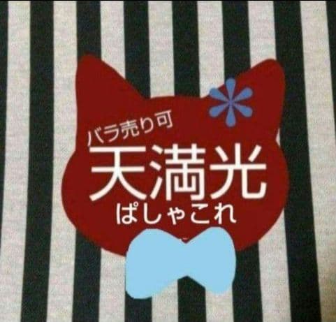 あんスタ 光 ぱしゃこれ 箔押し 中国 星燦 3周年 4周年 星動 星幻 5周年 あんスタ 薫 ぱしゃこれ 箔押し 中国 星動 冬日 星燦 3周年 4周年 5