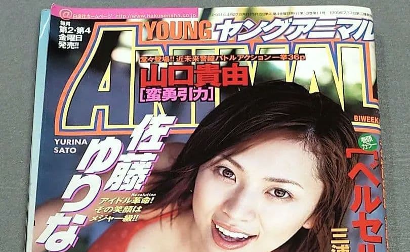 ヤングアニマル2001年8号ベルセルク巻頭見開きカラー第179話/佐藤ゆりな