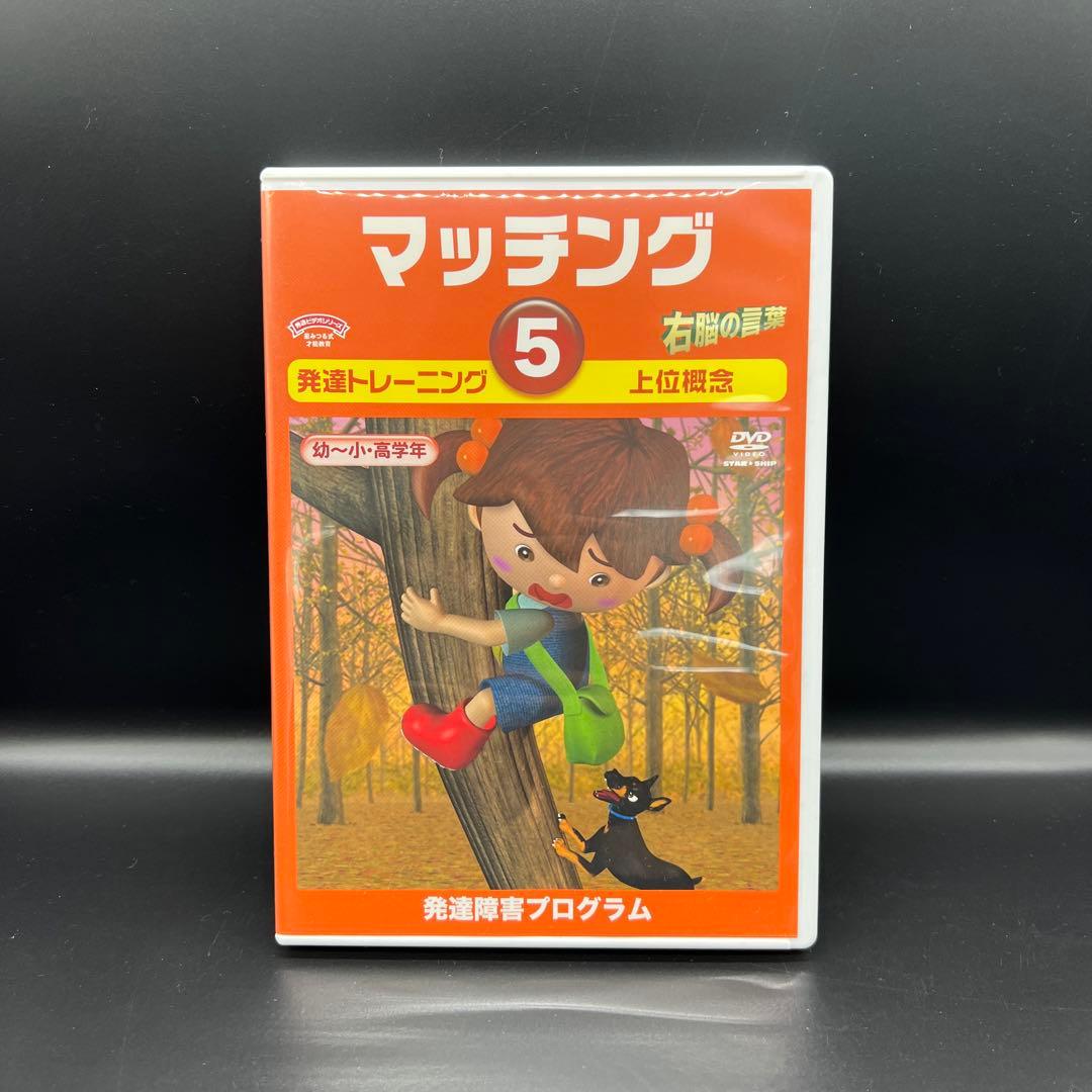 星みつる式 マッチング 1〜6巻 発達トレーニング DVD 分類学習 右脳の