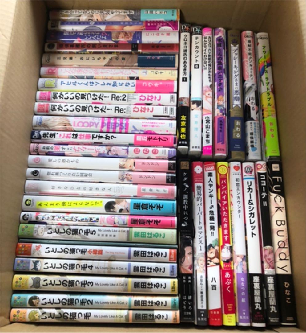 BLコミック 47冊セット