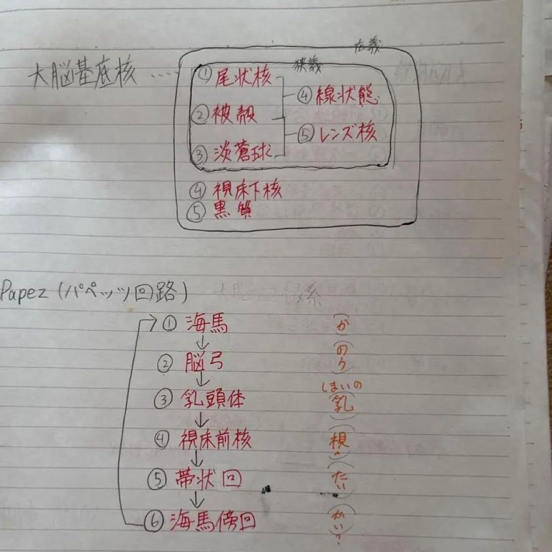作業療法士 国家試験 勉強ノート - メルカリ
