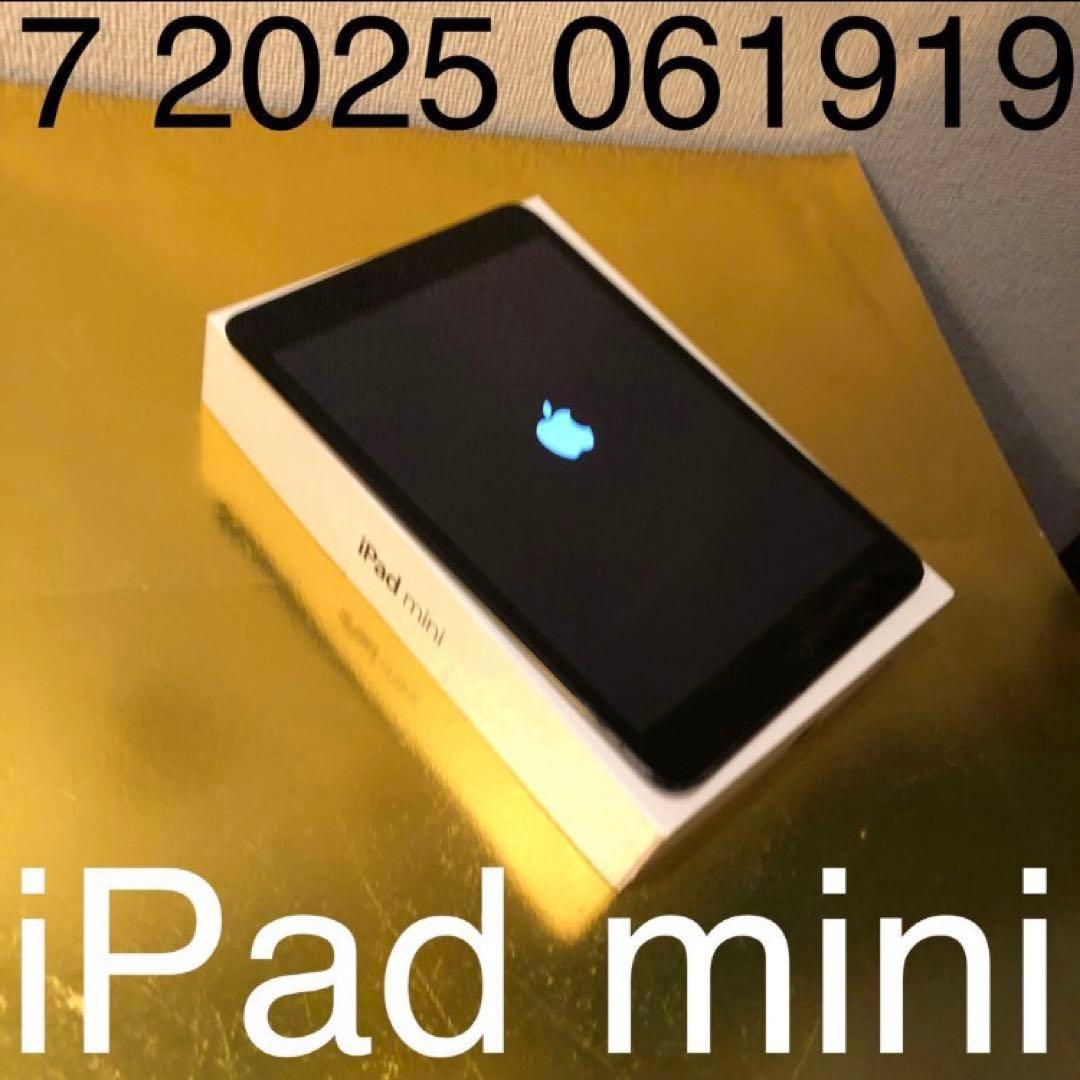 7 2025 061919 美品 iPad mini アイパッドミニ 黒ブラック - メルカリ