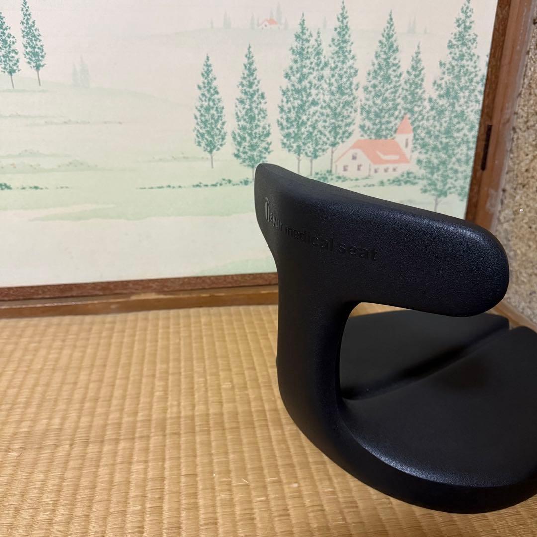 アーユルチェアー メディカルシート ayut medical seat ブラック