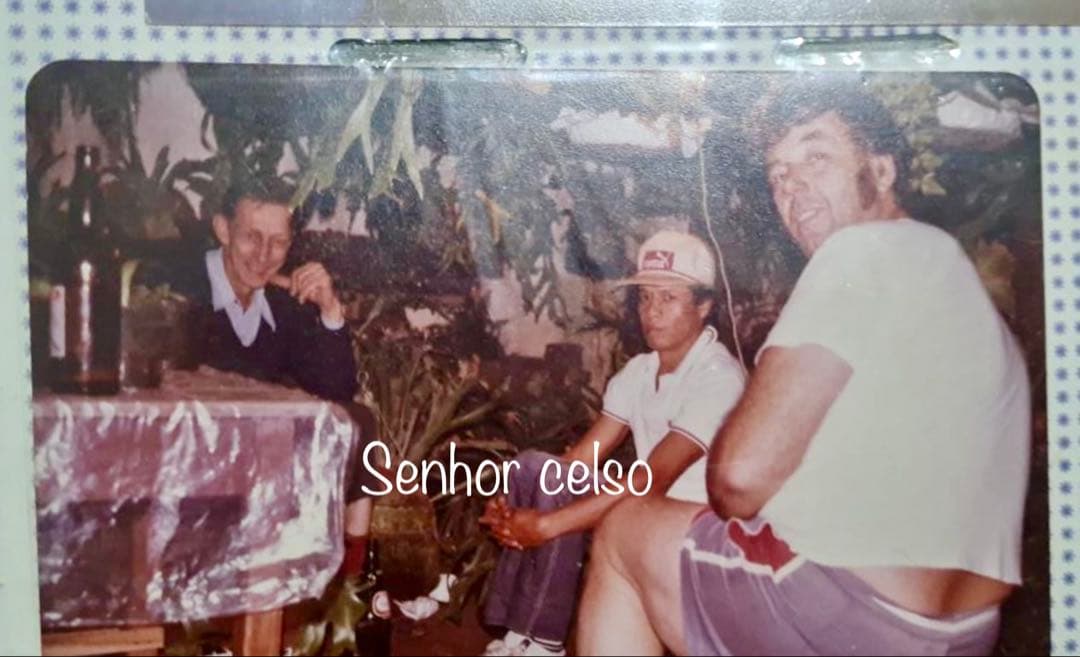 OC株 veitchii cv.celso Tatsutaセルソビカクシダ20 - メルカリ