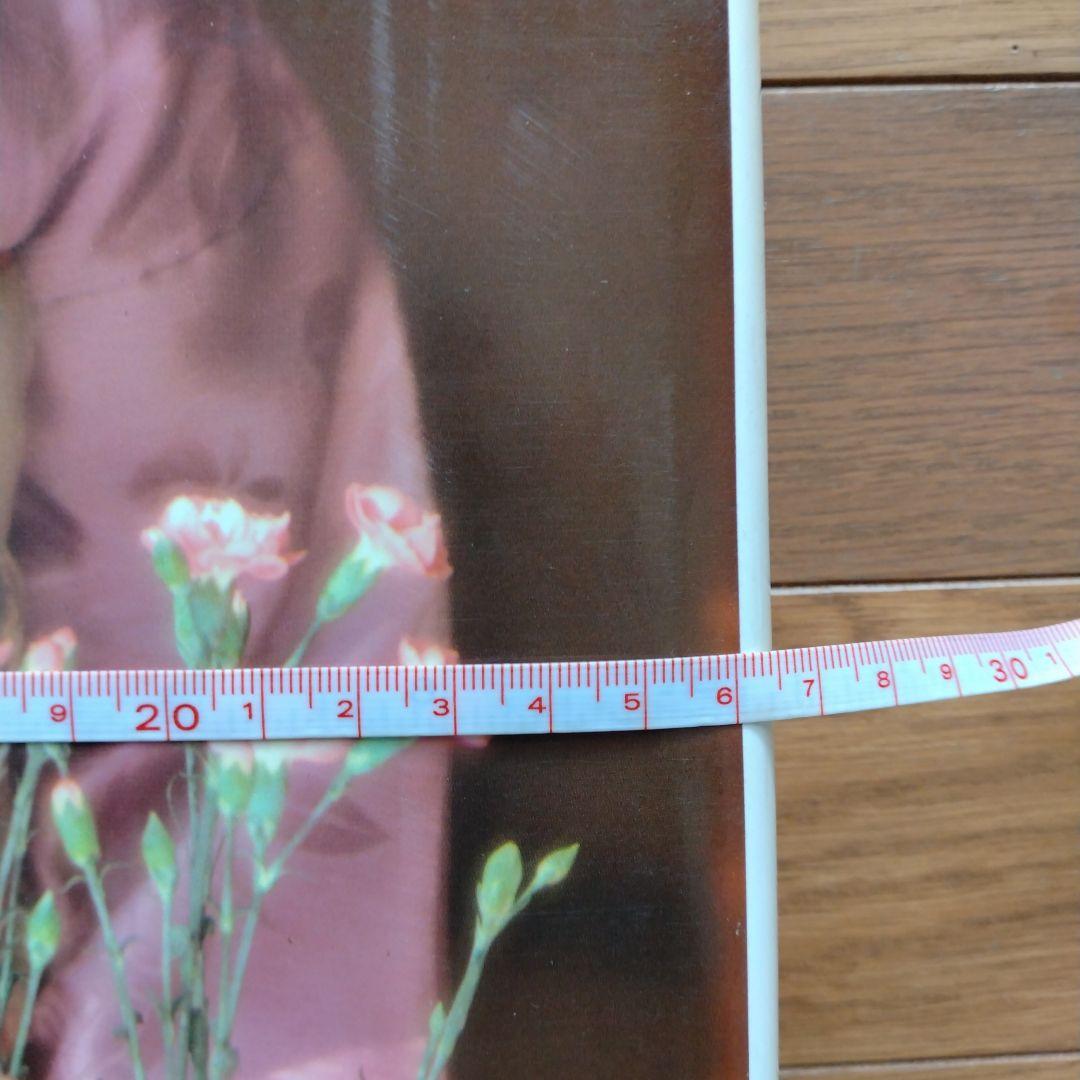 現代日本写真全集 日本の美 全12巻セット