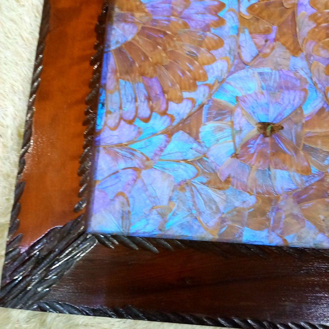 希少 羽根細工 モルフォ蝶◇蝶羽画 絵画 木製額 - メルカリ