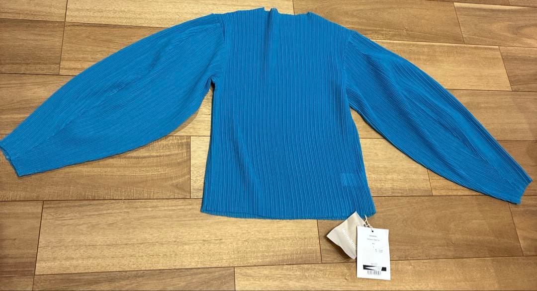 leinwände Puff-sleeve Pleats Top ブルー F Puff Sleeve Top - Sky Blue
