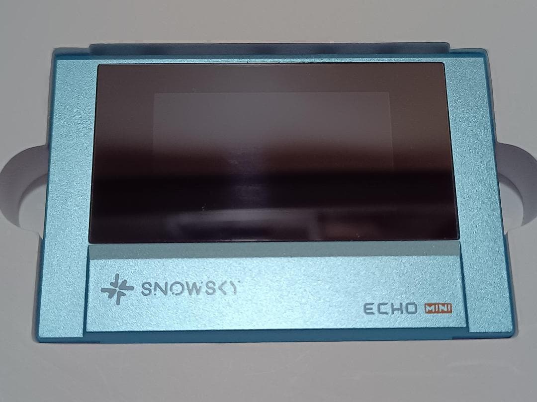 FIIO Snowsky ECHO MINI 皮ケース付き DAP - メルカリ