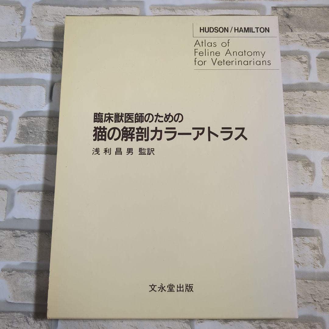 【美品】臨床獣医師のための猫の解剖カラーアトラス 61sndUsZQzL._AC_UL210_SR210,